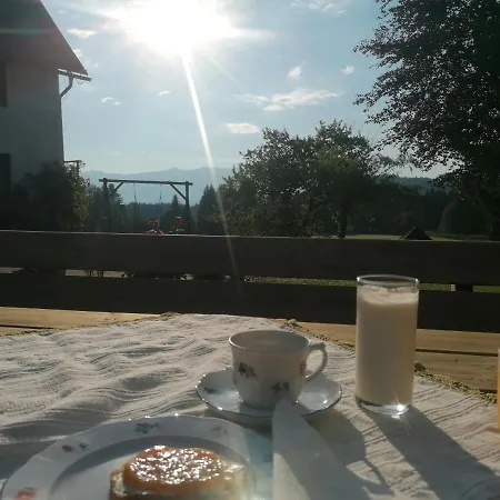Riesenbauer Appartement *