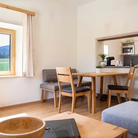 Apartment Riesenbauer *